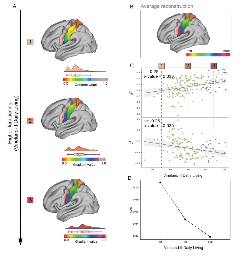 Connectopy mapping article figure